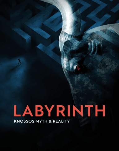Labyrinth av Andrew Shapland