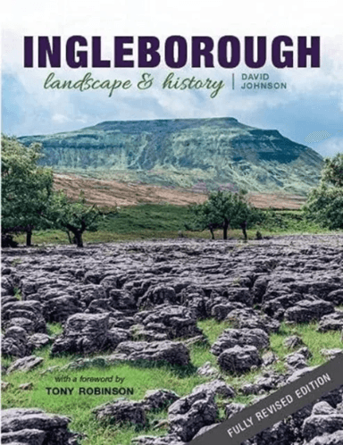 Ingleborough av David Johnson