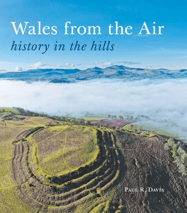 Wales from the Air av Paul R. Davis