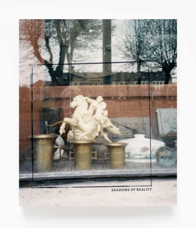 Shadows of Reality av W. G. Sebald