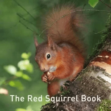Nature Book Series, The: The Squirrel Book av Jane Russ