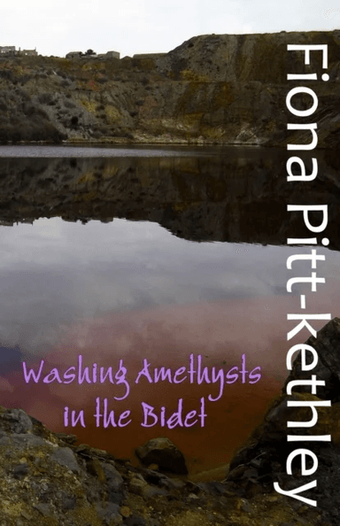 Washing Amethysts in the Bidet av Fiona Pitt-Kethley