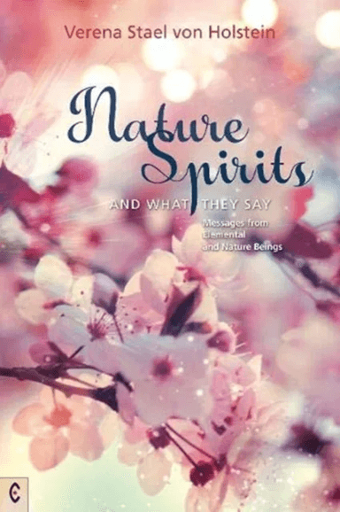 Nature Spirits and What They Say av Verena Stael von Holstein