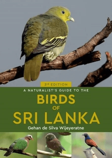 A Naturalist's Guide to the Birds of Sri Lanka (3rd edition) av Gehan de Silva Wijeyeratne