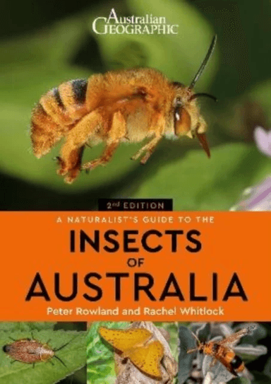 A Naturalist's Guide to the Insects of Australia av Peter Rowland