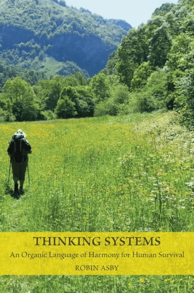 Thinking Systems av Robin Asby