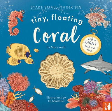 Tiny, Floating Coral av Mary Auld