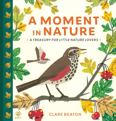 A Moment in Nature av Clare Beaton