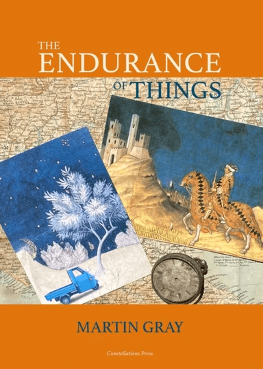 The Endurance of Things av Martin Gray