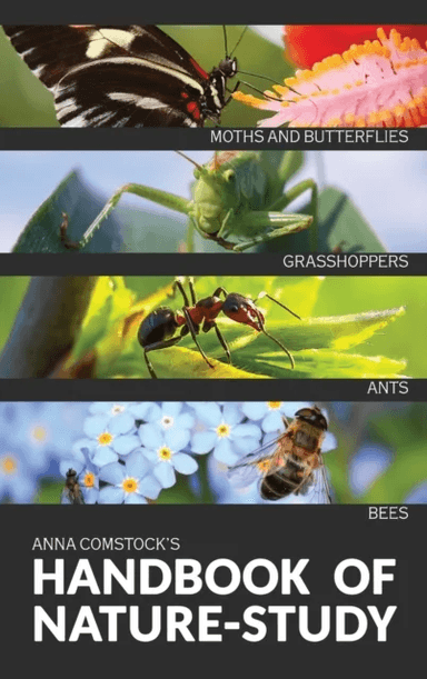 The Handbook Of Nature Study in Color - Insects av Anna B Comstock