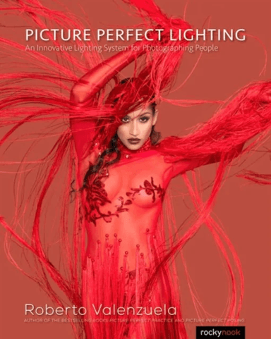 Picture Perfect Lighting av Roberto Valenzuela