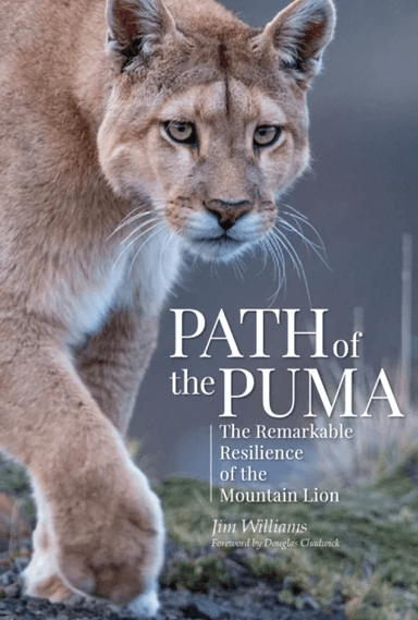Path of the Puma av Jim Williams