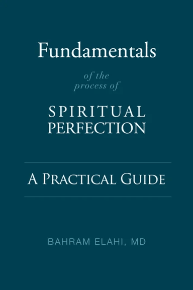 Fundamentals of the Process of Spiritual Perfection av Bahram Elahi