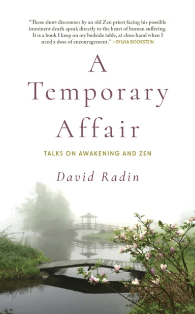 A Temporary Affair av David Radin