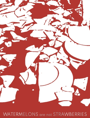 Watermelons Are Not Strawberries av Sandra Bacchi