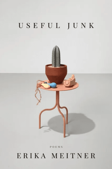 Useful Junk av Erika Meitner