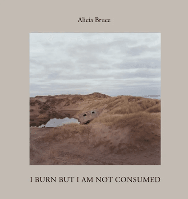 I Burn But Am Not Consumed av Alicia Bruce