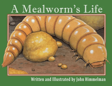 A Mealworm's Life av John Himmelman