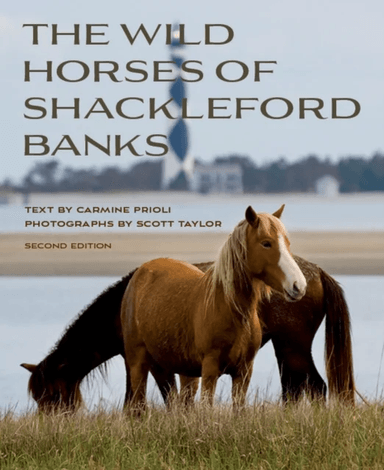 Wild Horses of Shackleford Banks av Carmine Prioli, Scott Taylor