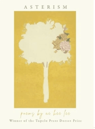 Aram's Notebook av Maria Angels Anglada