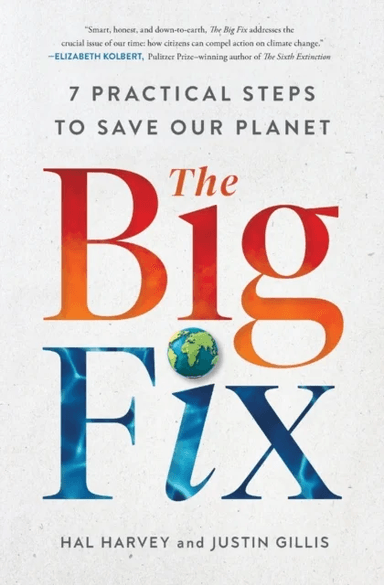 The Big Fix av Hal Harvey, Justin Gillis