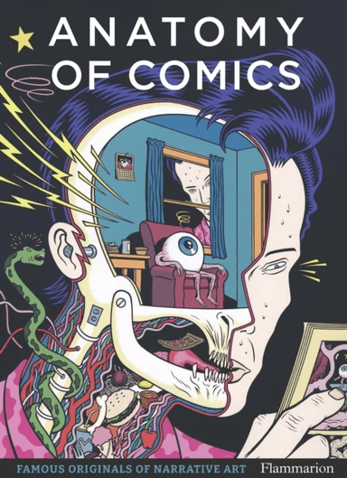 Anatomy of Comics av Damien MacDonald