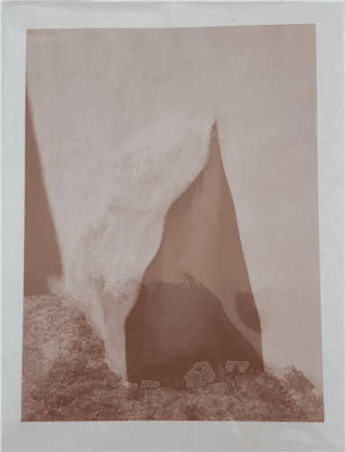 Shivers av Sebastien Arrighi