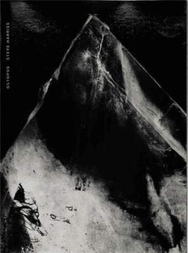 OCTOPUS av Steve Harries