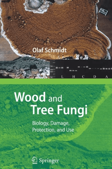 Wood and Tree Fungi av Olaf Schmidt