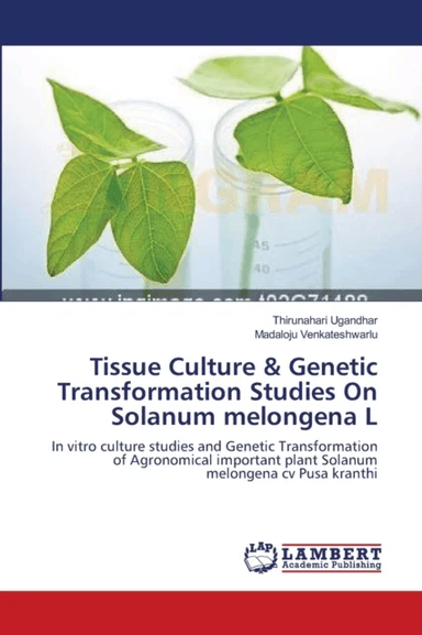 Tissue Culture &amp; Genetic Transformation Studies On Solanum melongena L av Thirunahari Ugandhar, Madaloju Venkateshwarlu