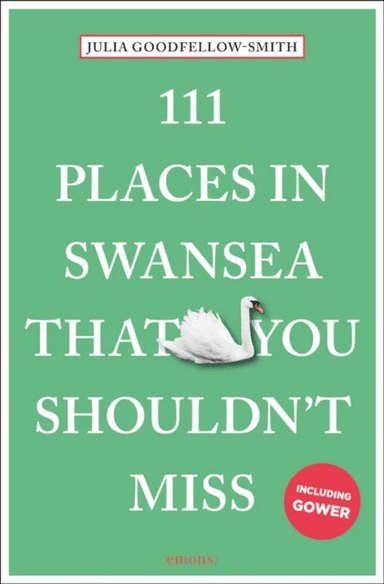 111 Places in Swansea That You Shouldn't Miss av Julia Goodfellow-Smith