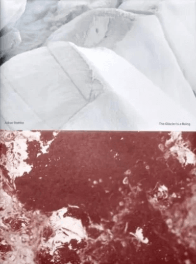 The Glacier is a Being av Julian Stettler