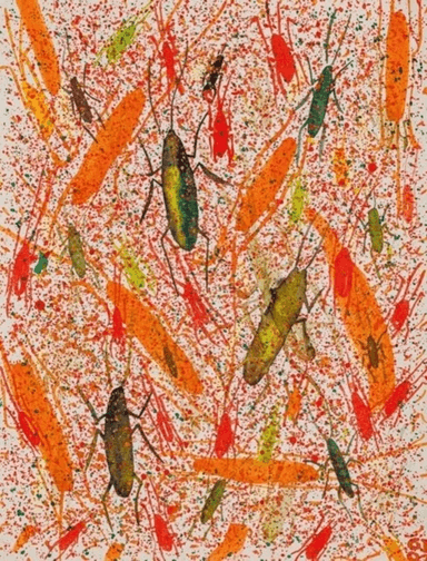 A Rare Gift of the Tropics