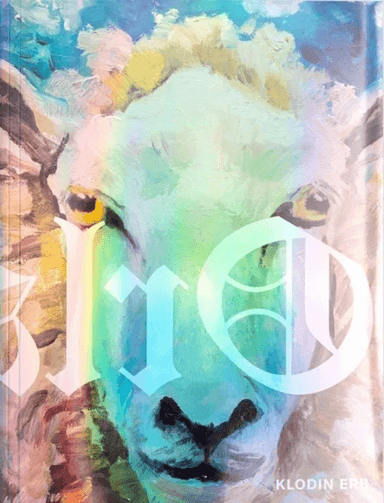 Orlando av Klodin Erb