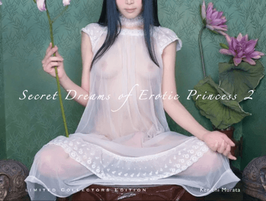 Secret Dreams of Erotic Princess 2 av Kenichi Murata