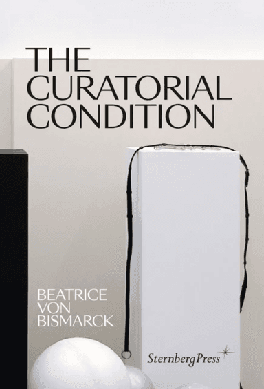 The Curatorial Condition av Beatrice Von Bismarck