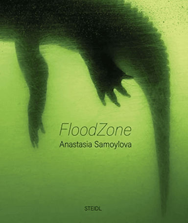 Anastasia Samoylova: FloodZone av Anastasia Samoylova