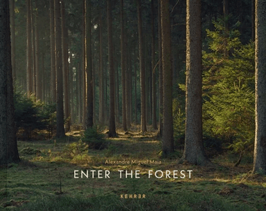 Enter the Forest av Alexandre Miguel Maia