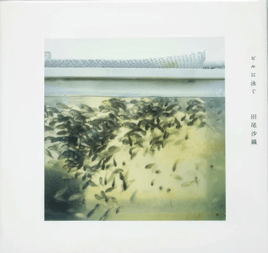 Swimming on the Building av Saori Tao