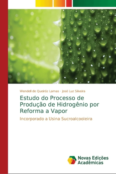 Estudo do Processo de Producao de Hidrogenio por Reforma a Vapor av Wendell de Queiroz Lamas, Jose Luz Silveira