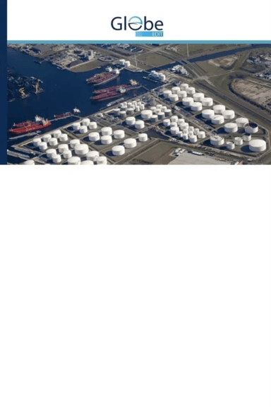 Time Based Development Planning of Distribution Networks av Ebadollah Amouzad Mahdiraji