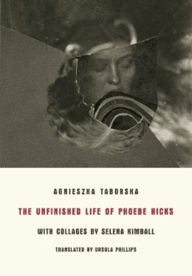 The Unfinished Life of Phoebe Hicks av Agnieszka Taborska