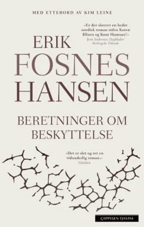 Beretninger om beskyttelse 1 av Erik Fosnes Hansen