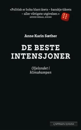 De beste intensjoner av Anne Karin Sæther