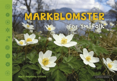 Markblomster for småfolk av Marit Røgeberg Ertzeid