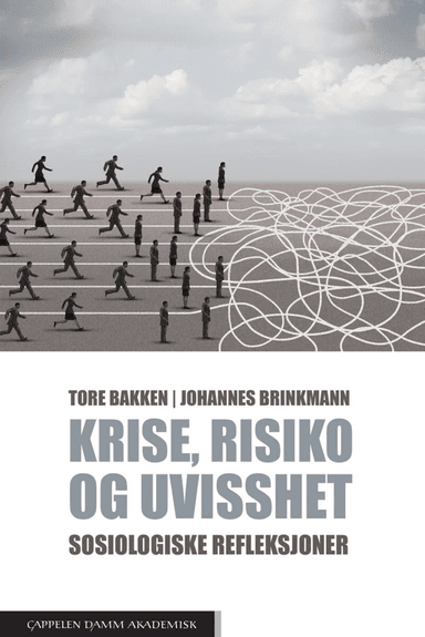 Krise, risiko og uvisshet av Tore Bakken, Johannes Brinkmann