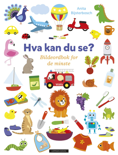 Hva kan du se? av Anita Bijsterbosch