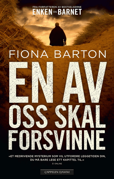 En av oss skal forsvinne av Fiona Barton
