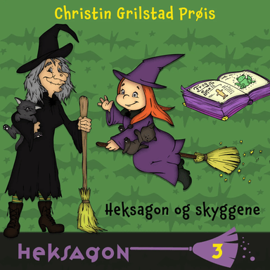 Heksagon og skyggene av Christin Grilstad Prøis