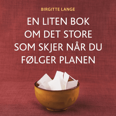 En liten bok om det store som skjer når du følger planen av Birgitte Lange